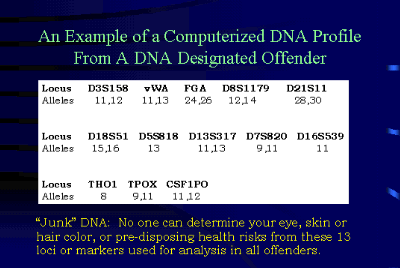 Computerized DNA Profile graphic