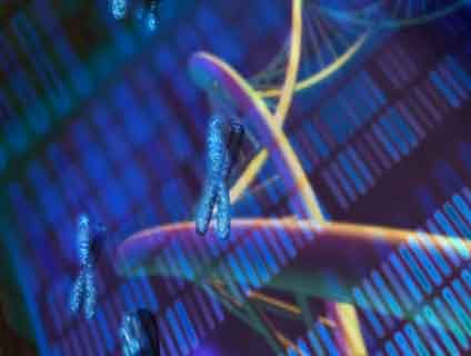 ny prostitute murders